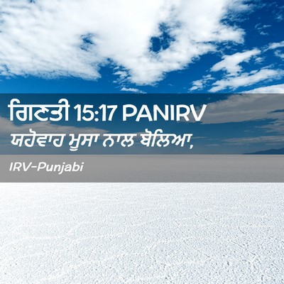 Picture 02 - ਗਿਣਤੀ 15:17 PANIRV - ਯਹੋਵਾਹ ਮੂਸਾ ਨਾਲ - Bible Verse Picture