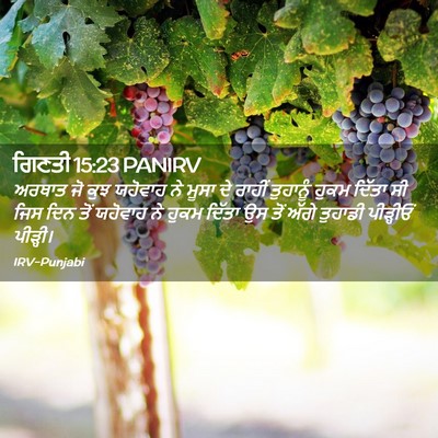Picture 02 - ਗਿਣਤੀ 15:23 PANIRV - ਅਰਥਾਤ ਜੋ ਕੁਝ - Bible Verse Picture