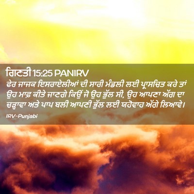Picture 02 - ਗਿਣਤੀ 15:25 PANIRV - ਫੇਰ ਜਾਜਕ - Bible Verse Picture