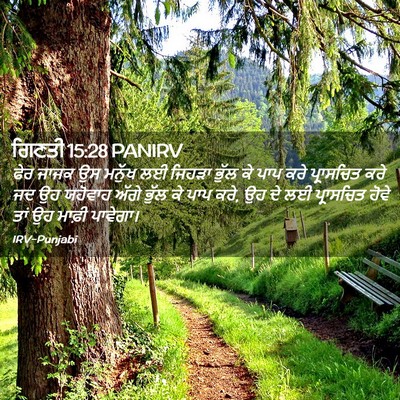 Picture 02 - ਗਿਣਤੀ 15:28 PANIRV - ਫੇਰ ਜਾਜਕ ਉਸ ਮਨੁੱਖ - Bible Verse Picture