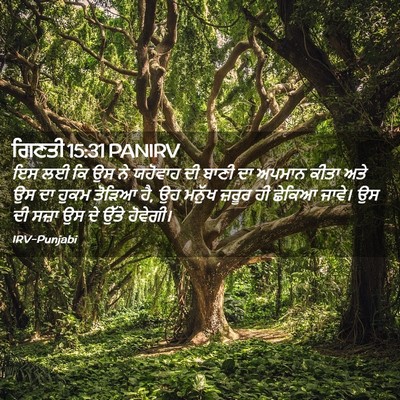 Picture 02 - ਗਿਣਤੀ 15:31 PANIRV - ਇਸ ਲਈ ਕਿ ਉਸ ਨੇ - Bible Verse Picture