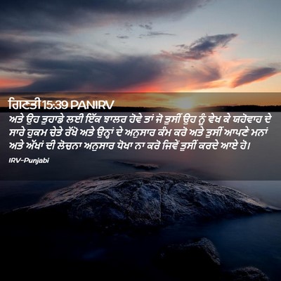 Picture 02 - ਗਿਣਤੀ 15:39 PANIRV - ਅਤੇ ਉਹ ਤੁਹਾਡੇ ਲਈ - Bible Verse Picture