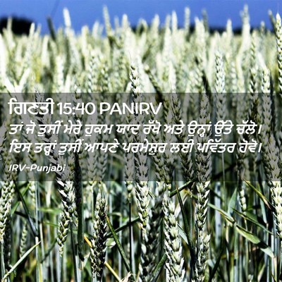Picture 02 - ਗਿਣਤੀ 15:40 PANIRV - ਤਾਂ ਜੋ ਤੁਸੀਂ ਮੇਰੇ - Bible Verse Picture