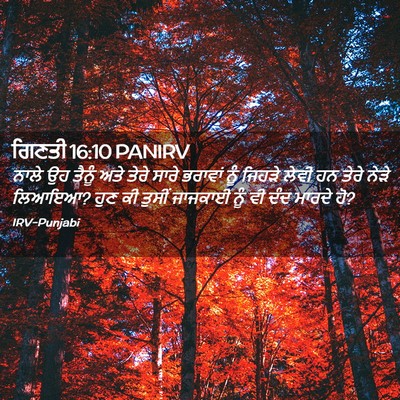 Picture 02 - ਗਿਣਤੀ 16:10 PANIRV - ਨਾਲੇ ਉਹ ਤੈਨੂੰ ਅਤੇ - Bible Verse Picture