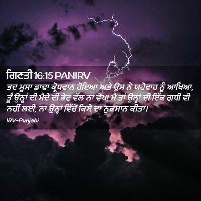 Picture 02 - ਗਿਣਤੀ 16:15 PANIRV - ਤਦ ਮੂਸਾ ਡਾਢਾ - Bible Verse Picture