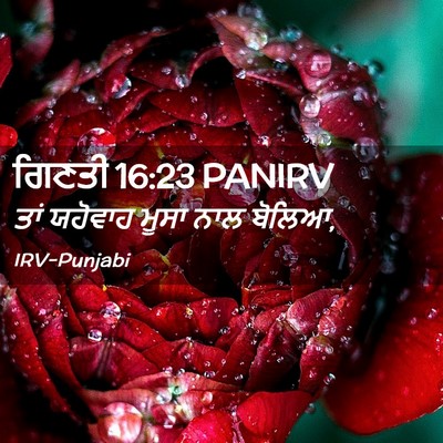 Picture 02 - ਗਿਣਤੀ 16:23 PANIRV - ਤਾਂ ਯਹੋਵਾਹ ਮੂਸਾ - Bible Verse Picture
