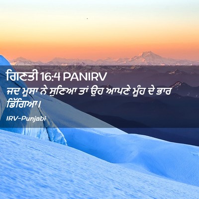 Picture 02 - ਗਿਣਤੀ 16:4 PANIRV - ਜਦ ਮੂਸਾ ਨੇ ਸੁਣਿਆ - Bible Verse Picture
