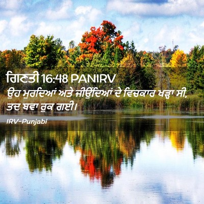 Picture 02 - ਗਿਣਤੀ 16:48 PANIRV - ਉਹ ਮੁਰਦਿਆਂ ਅਤੇ - Bible Verse Picture