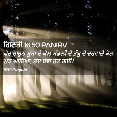 Picture 02 - ਗਿਣਤੀ 16:50 PANIRV - ਫੇਰ ਹਾਰੂਨ ਮੂਸਾ ਦੇ - Bible Verse Picture