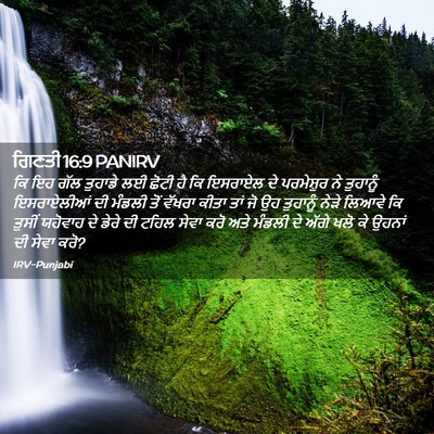 Picture 02 - ਗਿਣਤੀ 16:9 PANIRV - ਕਿ ਇਹ ਗੱਲ ਤੁਹਾਡੇ ਲਈ - Bible Verse Picture