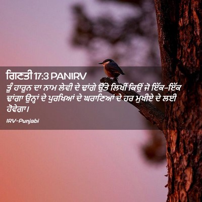 Picture 02 - ਗਿਣਤੀ 17:3 PANIRV - ਤੂੰ ਹਾਰੂਨ ਦਾ ਨਾਮ - Bible Verse Picture