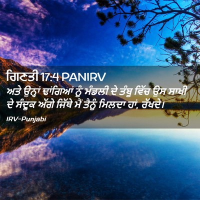 Picture 02 - ਗਿਣਤੀ 17:4 PANIRV - ਅਤੇ ਉਨ੍ਹਾਂ - Bible Verse Picture