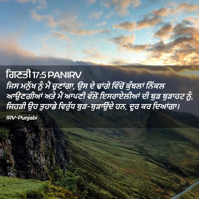 Picture 02 - ਗਿਣਤੀ 17:5 PANIRV - ਜਿਸ ਮਨੁੱਖ ਨੂੰ ਮੈਂ - Bible Verse Picture