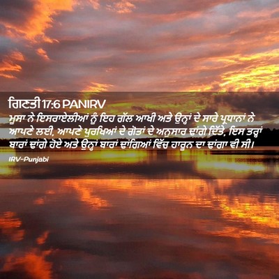 Picture 02 - ਗਿਣਤੀ 17:6 PANIRV - ਮੂਸਾ ਨੇ ਇਸਰਾਏਲੀਆਂ - Bible Verse Picture