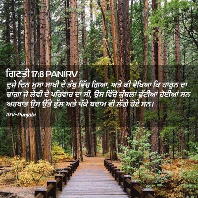 Picture 02 - ਗਿਣਤੀ 17:8 PANIRV - ਦੂਜੇ ਦਿਨ ਮੂਸਾ ਸਾਖੀ - Bible Verse Picture