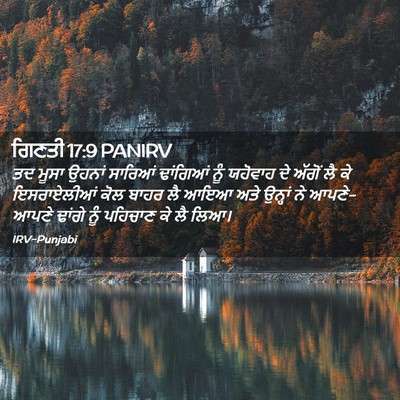 Picture 02 - ਗਿਣਤੀ 17:9 PANIRV - ਤਦ ਮੂਸਾ ਉਹਨਾਂ - Bible Verse Picture