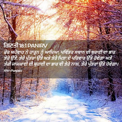Picture 02 - ਗਿਣਤੀ 18:1 PANIRV - ਫੇਰ ਯਹੋਵਾਹ ਨੇ - Bible Verse Picture