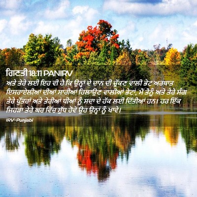 Picture 02 - ਗਿਣਤੀ 18:11 PANIRV - ਅਤੇ ਤੇਰੇ ਲਈ ਇਹ ਵੀ - Bible Verse Picture