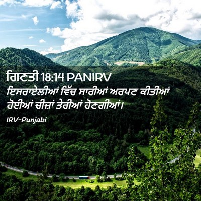 Picture 02 - ਗਿਣਤੀ 18:14 PANIRV - ਇਸਰਾਏਲੀਆਂ ਵਿੱਚ - Bible Verse Picture