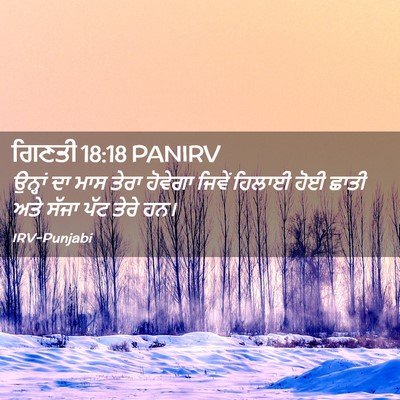 Picture 02 - ਗਿਣਤੀ 18:18 PANIRV - ਉਨ੍ਹਾਂ ਦਾ ਮਾਸ ਤੇਰਾ - Bible Verse Picture