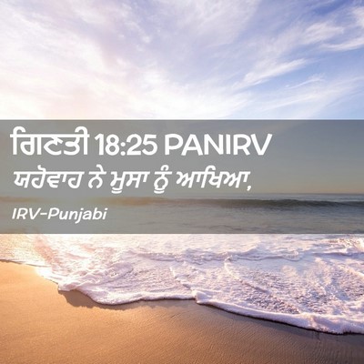 Picture 02 - ਗਿਣਤੀ 18:25 PANIRV - ਯਹੋਵਾਹ ਨੇ ਮੂਸਾ ਨੂੰ - Bible Verse Picture