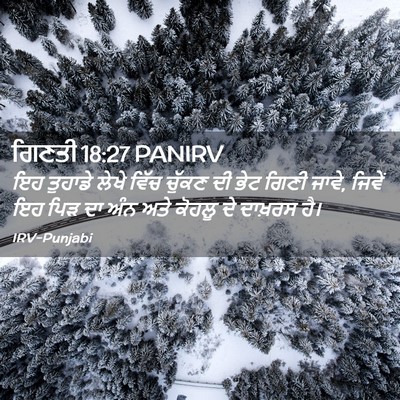 Picture 02 - ਗਿਣਤੀ 18:27 PANIRV - ਇਹ ਤੁਹਾਡੇ ਲੇਖੇ - Bible Verse Picture