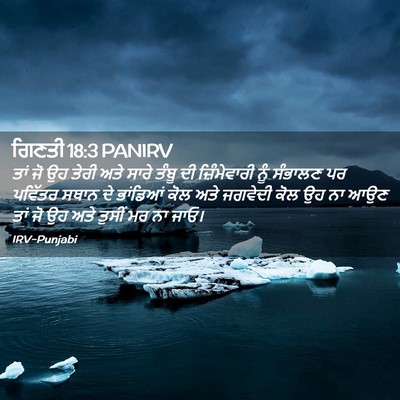 Picture 02 - ਗਿਣਤੀ 18:3 PANIRV - ਤਾਂ ਜੋ ਉਹ ਤੇਰੀ ਅਤੇ - Bible Verse Picture
