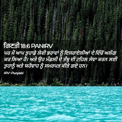 Picture 02 - ਗਿਣਤੀ 18:6 PANIRV - ਪਰ ਮੈਂ ਆਪ ਤੁਹਾਡੇ - Bible Verse Picture