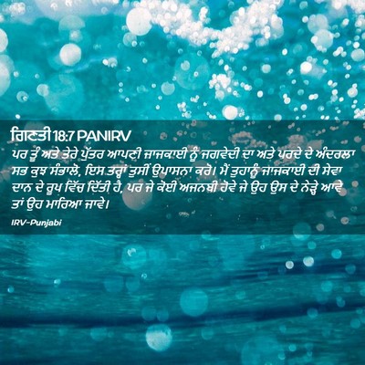 Picture 02 - ਗਿਣਤੀ 18:7 PANIRV - ਪਰ ਤੂੰ ਅਤੇ ਤੇਰੇ - Bible Verse Picture