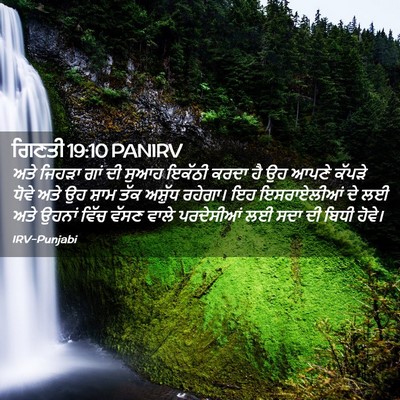 Picture 02 - ਗਿਣਤੀ 19:10 PANIRV - ਅਤੇ ਜਿਹੜਾ ਗਾਂ ਦੀ - Bible Verse Picture
