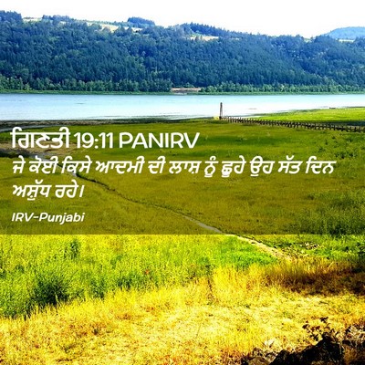 Picture 02 - ਗਿਣਤੀ 19:11 PANIRV - ਜੇ ਕੋਈ ਕਿਸੇ ਆਦਮੀ ਦੀ - Bible Verse Picture