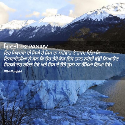 Picture 02 - ਗਿਣਤੀ 19:2 PANIRV - ਇਹ ਬਿਵਸਥਾ ਦੀ ਬਿਧੀ - Bible Verse Picture