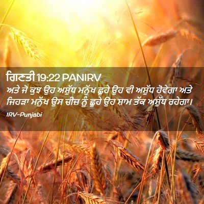 Picture 02 - ਗਿਣਤੀ 19:22 PANIRV - ਅਤੇ ਜੋ ਕੁਝ ਉਹ - Bible Verse Picture