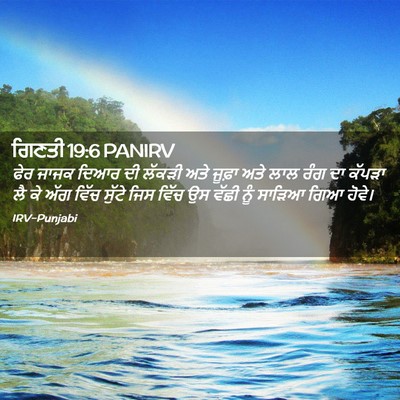 Picture 02 - ਗਿਣਤੀ 19:6 PANIRV - ਫੇਰ ਜਾਜਕ ਦਿਆਰ ਦੀ - Bible Verse Picture