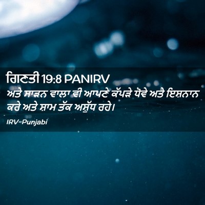 Picture 02 - ਗਿਣਤੀ 19:8 PANIRV - ਅਤੇ ਸਾੜਨ ਵਾਲਾ ਵੀ - Bible Verse Picture