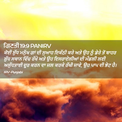 Picture 02 - ਗਿਣਤੀ 19:9 PANIRV - ਕੋਈ ਸ਼ੁੱਧ ਮਨੁੱਖ - Bible Verse Picture