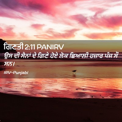 Picture 02 - ਗਿਣਤੀ 2:11 PANIRV - ਉਸ ਦੀ ਸੈਨਾਂ ਦੇ ਗਿਣੇ - Bible Verse Picture