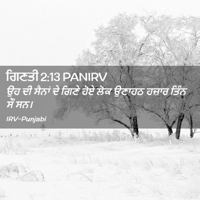 Picture 02 - ਗਿਣਤੀ 2:13 PANIRV - ਉਹ ਦੀ ਸੈਨਾਂ ਦੇ ਗਿਣੇ - Bible Verse Picture