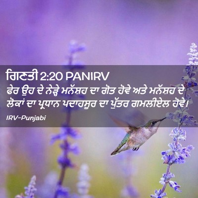 Picture 02 - ਗਿਣਤੀ 2:20 PANIRV - ਫੇਰ ਉਹ ਦੇ ਨੇੜ੍ਹੇ - Bible Verse Picture