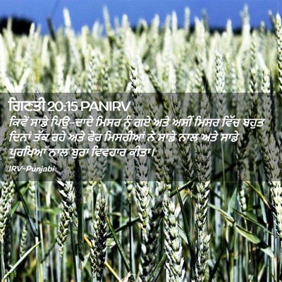 Picture 02 - ਗਿਣਤੀ 20:15 PANIRV - ਕਿਵੇਂ ਸਾਡੇ - Bible Verse Picture