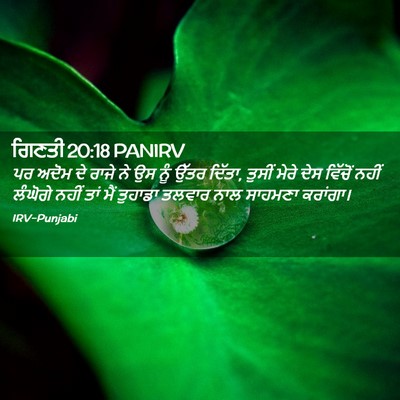 Picture 02 - ਗਿਣਤੀ 20:18 PANIRV - ਪਰ ਅਦੋਮ ਦੇ ਰਾਜੇ ਨੇ - Bible Verse Picture