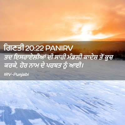 Picture 02 - ਗਿਣਤੀ 20:22 PANIRV - ਤਦ ਇਸਰਾਏਲੀਆਂ ਦੀ - Bible Verse Picture