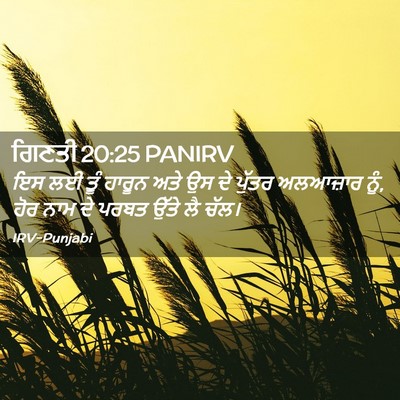 Picture 02 - ਗਿਣਤੀ 20:25 PANIRV - ਇਸ ਲਈ ਤੂੰ ਹਾਰੂਨ ਅਤੇ - Bible Verse Picture