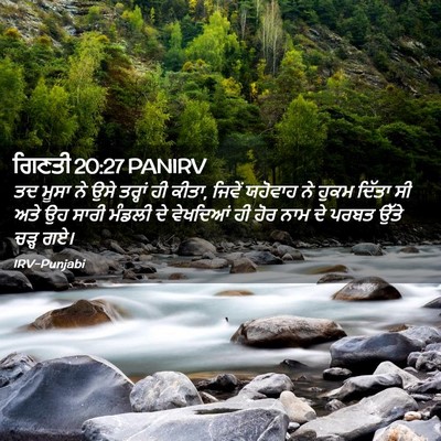 Picture 02 - ਗਿਣਤੀ 20:27 PANIRV - ਤਦ ਮੂਸਾ ਨੇ ਉਸੇ - Bible Verse Picture