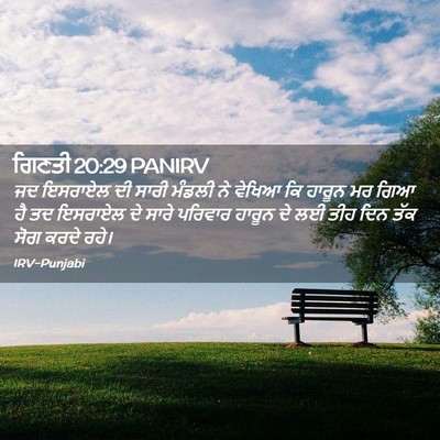 Picture 02 - ਗਿਣਤੀ 20:29 PANIRV - ਜਦ ਇਸਰਾਏਲ ਦੀ ਸਾਰੀ - Bible Verse Picture