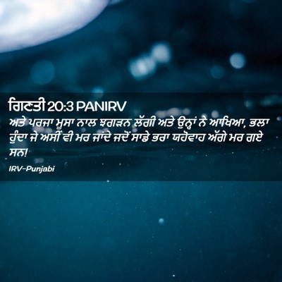 Picture 02 - ਗਿਣਤੀ 20:3 PANIRV - ਅਤੇ ਪਰਜਾ ਮੂਸਾ ਨਾਲ - Bible Verse Picture