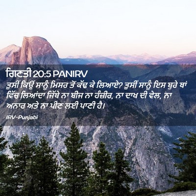 Picture 02 - ਗਿਣਤੀ 20:5 PANIRV - ਤੁਸੀਂ ਕਿਉਂ ਸਾਨੂੰ - Bible Verse Picture