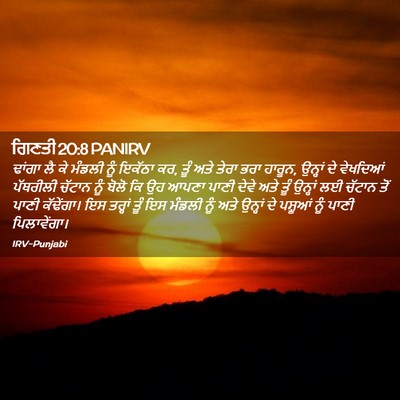 Picture 02 - ਗਿਣਤੀ 20:8 PANIRV - ਢਾਂਗਾ ਲੈ ਕੇ ਮੰਡਲੀ - Bible Verse Picture