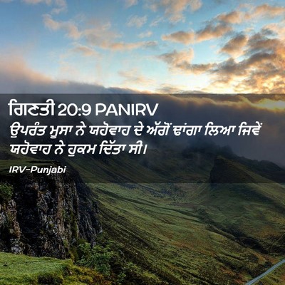 Picture 02 - ਗਿਣਤੀ 20:9 PANIRV - ਉਪਰੰਤ ਮੂਸਾ ਨੇ - Bible Verse Picture