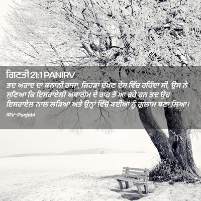 Picture 02 - ਗਿਣਤੀ 21:1 PANIRV - ਤਦ ਅਰਾਦ ਦਾ ਕਨਾਨੀ - Bible Verse Picture